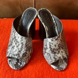 Mercedes Castillo lzar Mule